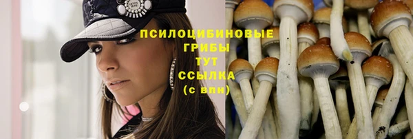 не бодяженный Коряжма